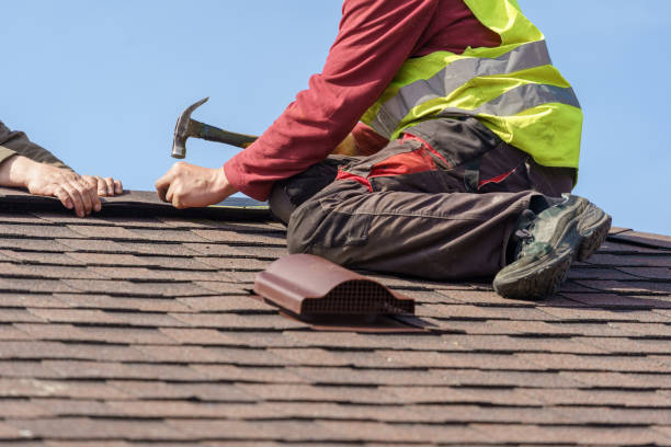 Best Roof Leak Repair  in Rogersville, TN