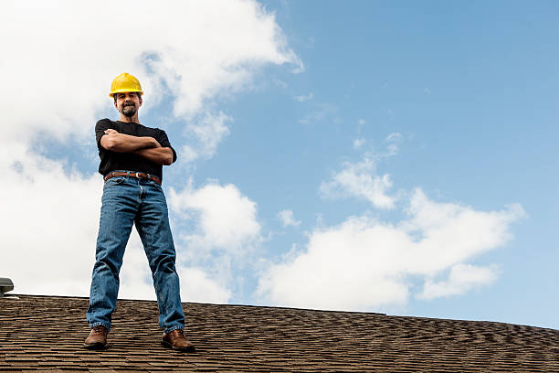 Best Metal Roofing Contractor  in Rogersville, TN