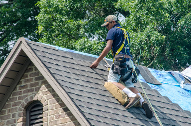 Best Shingle Roofing Installation  in Rogersville, TN